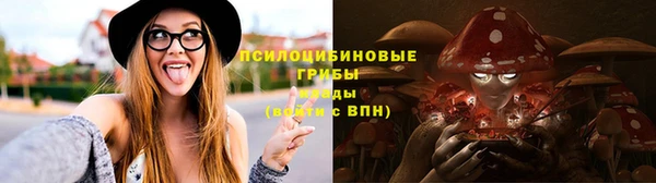индика Алексеевка