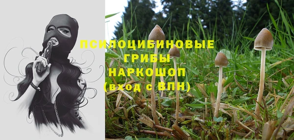 индика Алексеевка
