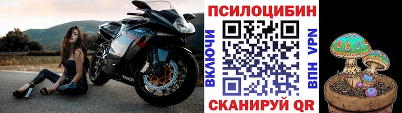 магазин    Воткинск  Псилоцибиновые грибы Cubensis 